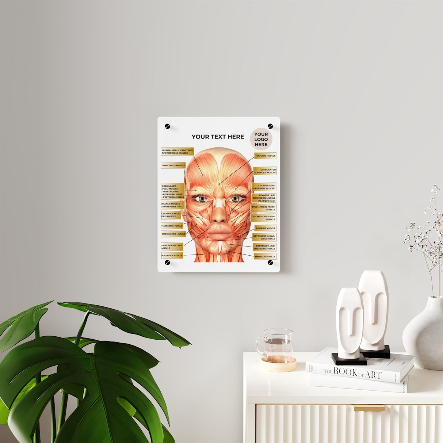 Facial Anatomy Consultation Acrylic Wall Art Panel