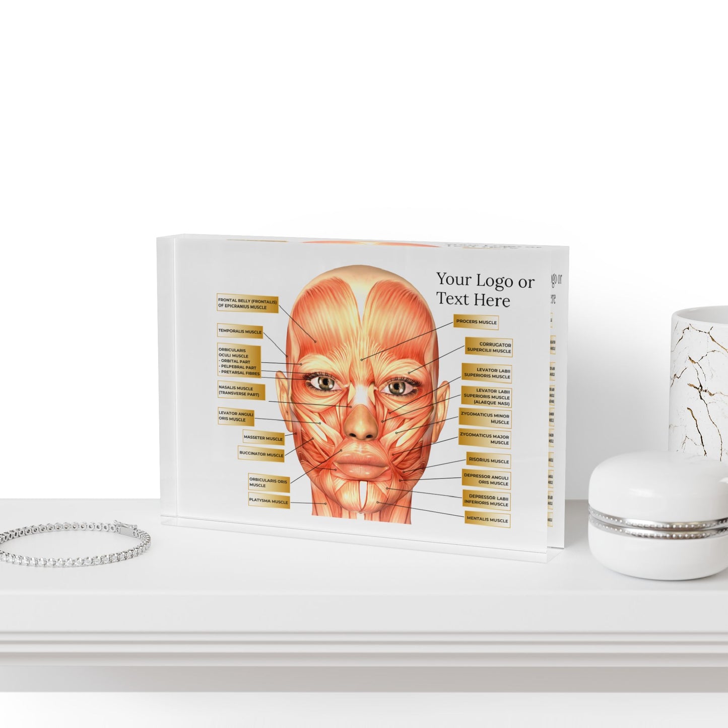 Aesthetics Anatomy Training and Consultation Face Photo Block