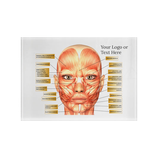 Aesthetics Anatomy Training and Consultation Face Photo Block