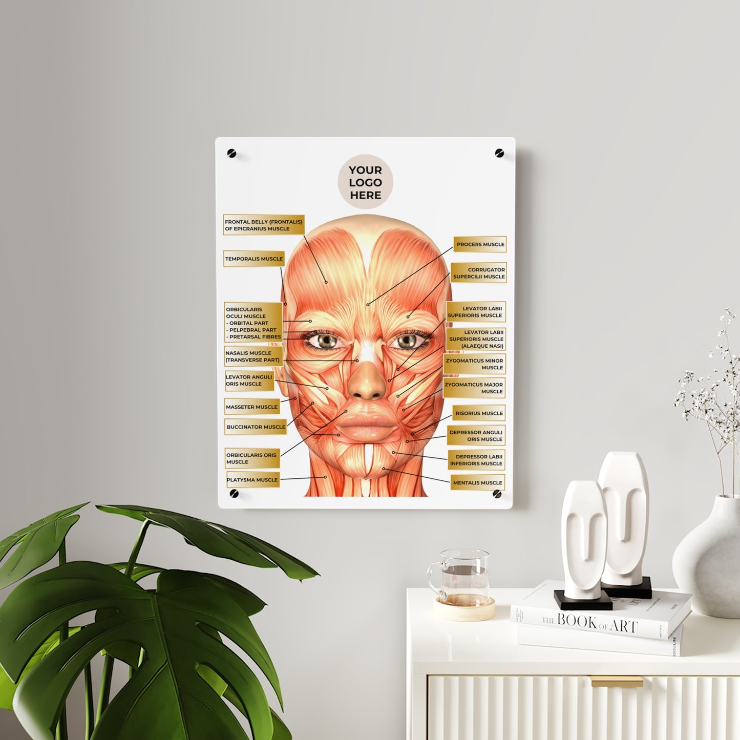 Facial Anatomy Consultation Acrylic Wall Art Panel